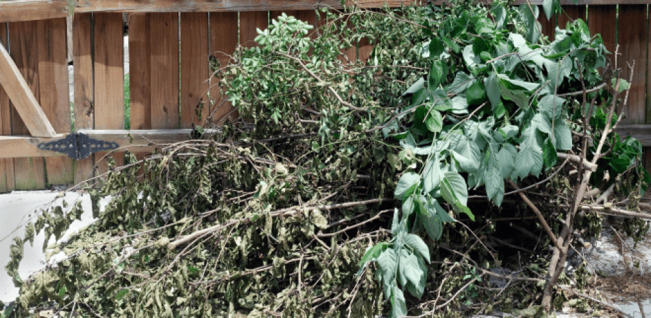 Landscape and Yard wate cleaning Landscape and Yard wate cleaning